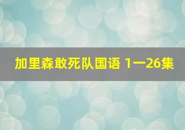 加里森敢死队国语 1一26集